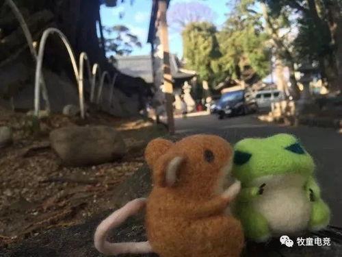 青蛙玩偶吃瓜看戏,揭秘童话世界的欢乐时光