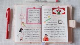 吃瓜手帐本,揭秘娱乐圈幕后故事