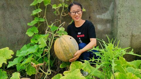 吃瓜生活日常,揭秘娱乐圈幕后故事