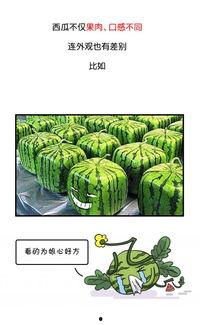 吃瓜历史人物,揭秘古代吃瓜群众的趣味人生