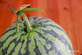 吃瓜收集,吃瓜群众视角下的娱乐圈风云录