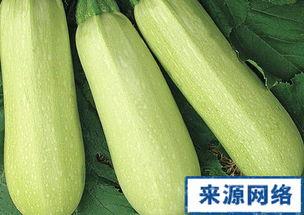 孕妇可以吃生角瓜吗,生角瓜的安全性探讨