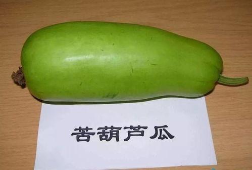 瓠瓜一瓜两吃是什么菜啊,创意家常菜，一瓜两味，美味翻倍