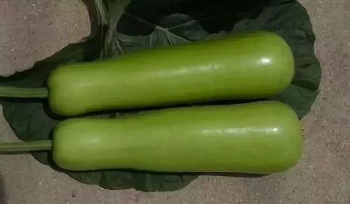 瓠瓜一瓜两吃是什么菜啊,创意家常菜，一瓜两味，美味翻倍