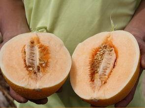 吃瓜超话都有哪些,热门话题背后的娱乐风云