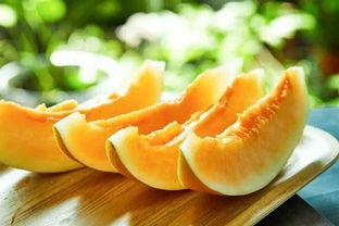 甘肃吃蜜瓜,探寻丝绸之路上的甜蜜之旅