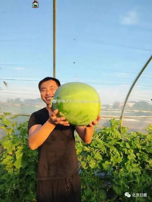 七婶吃瓜,揭秘娱乐圈背后的那些事儿