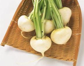 夏瓜怎么吃,夏瓜的多彩食法探索