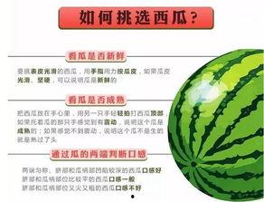 吃瓜咨询,吃瓜群众视角下的明星幕后故事