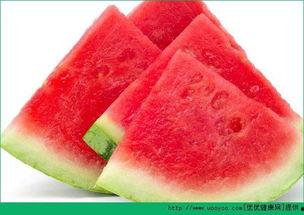 吃田瓜会长胖吗