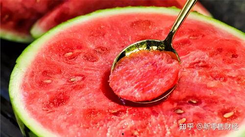 金大妈吃瓜,金大妈的瓜田奇遇记