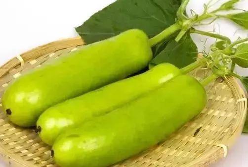 葫芦瓜可以吃么,美味与营养并存，食用指南揭秘