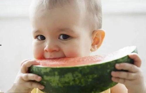 吃瓜孩童,揭秘吃瓜孩童的趣味世界