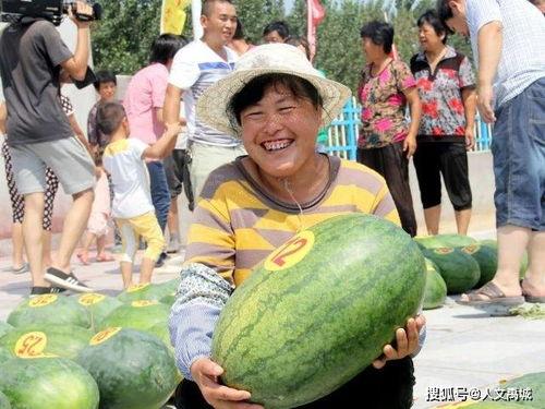 成都沙河吃瓜,夏日消暑吃瓜胜地探秘