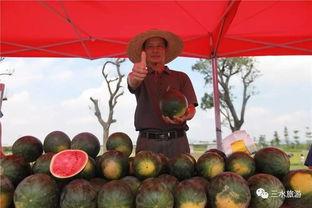 快到家吃瓜,揭秘美食背后的故事与传奇