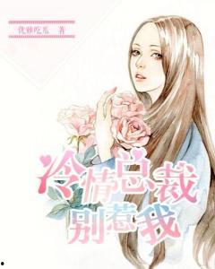 总裁助理吃瓜小说,一场职场与爱情的甜蜜碰撞