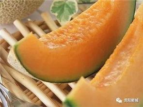 吃南瓜可以吃哈密瓜吗,能否共享美味？