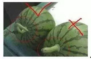 声声御吃瓜,揭秘娱乐圈幕后故事