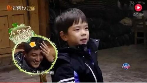 看戏吃瓜假大佬女亲王,揭秘假大佬女亲王背后的故事