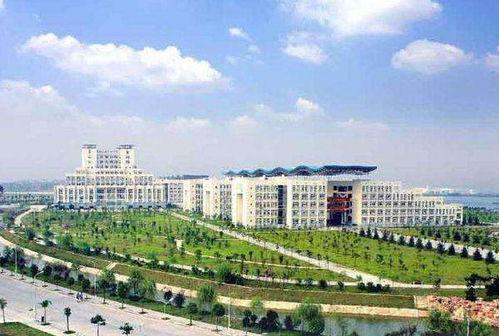 江汉大学吃瓜论坛,揭秘校园热点事件背后的真相